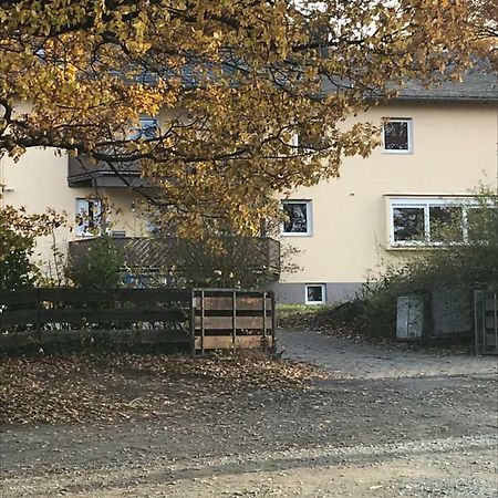 Apartament Akazienhof Schmitten Zewnętrze zdjęcie